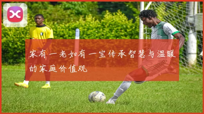 家有一老如有一宝传承智慧与温暖的家庭价值观