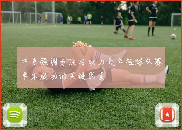 申京强调专注与动力是年轻球队赛季末成功的关键因素