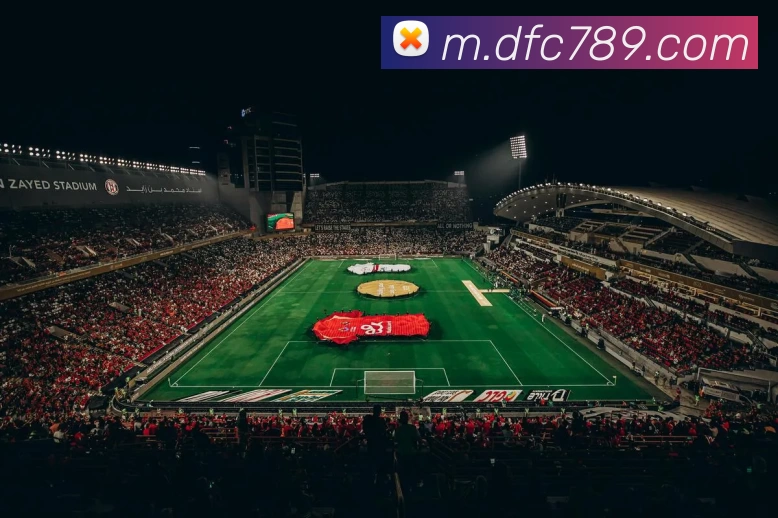 大发彩票网址发展历程